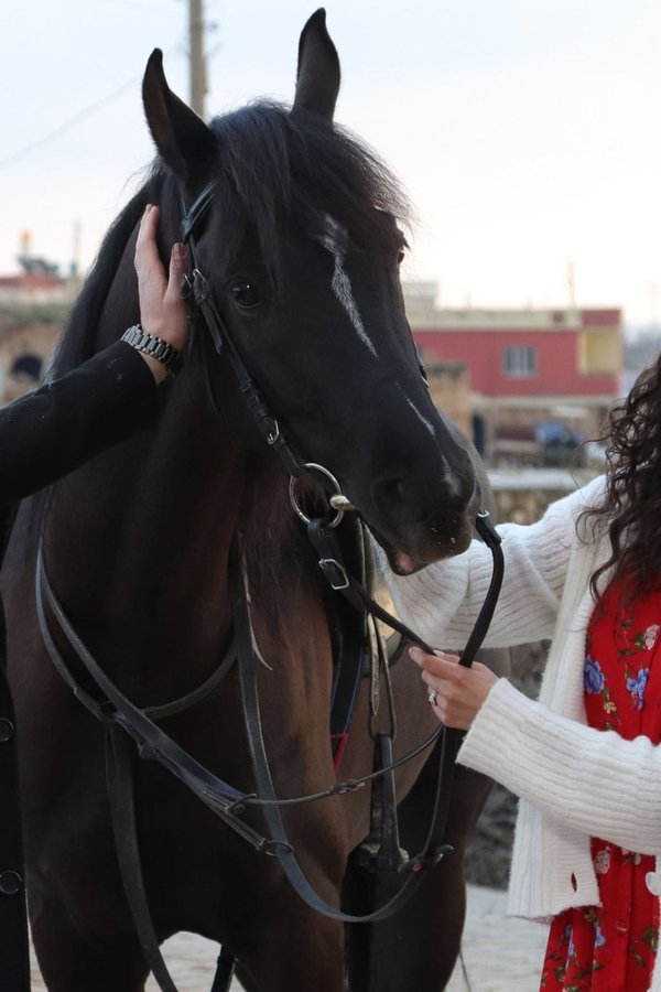 Hercai – Amore e vendetta – S02E25 – Episodio 25