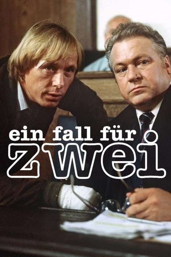 EinFallfürzwei第8季