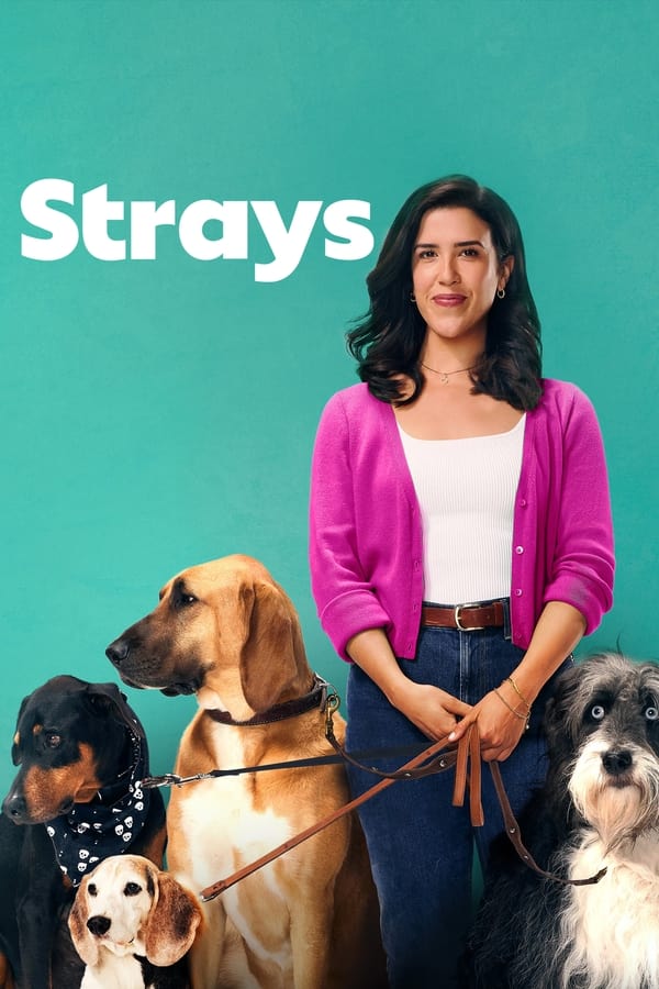 Strays 第 2 季