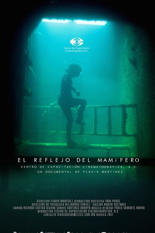 The Mammalian Reflex