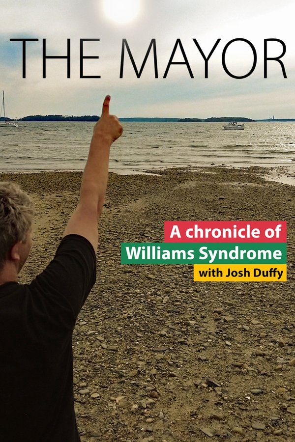 THE MAYOR poster