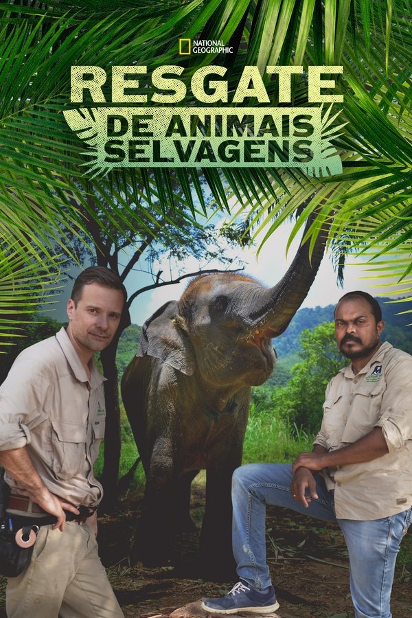 Heróis da Selva