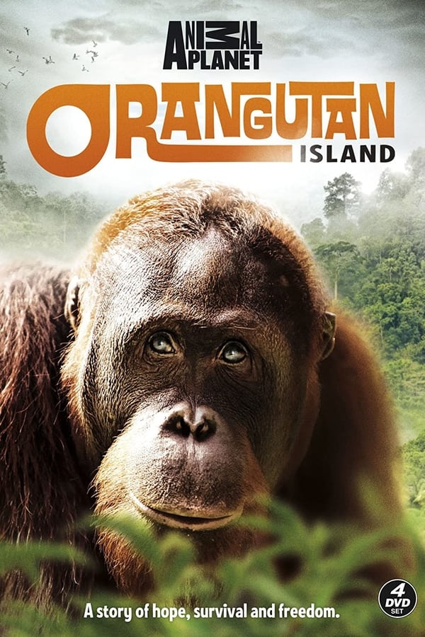Orangutan Island poster