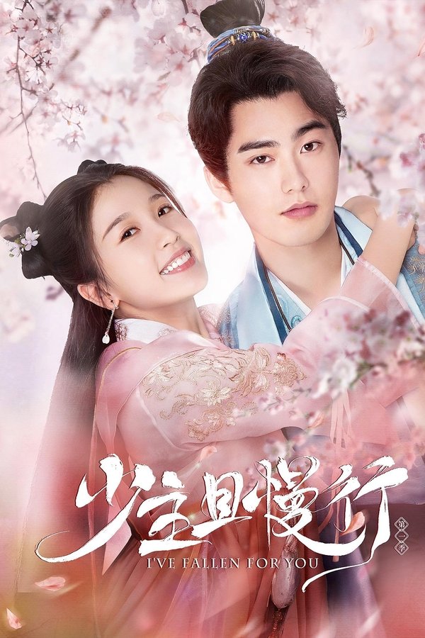 I've Fallen For You poster