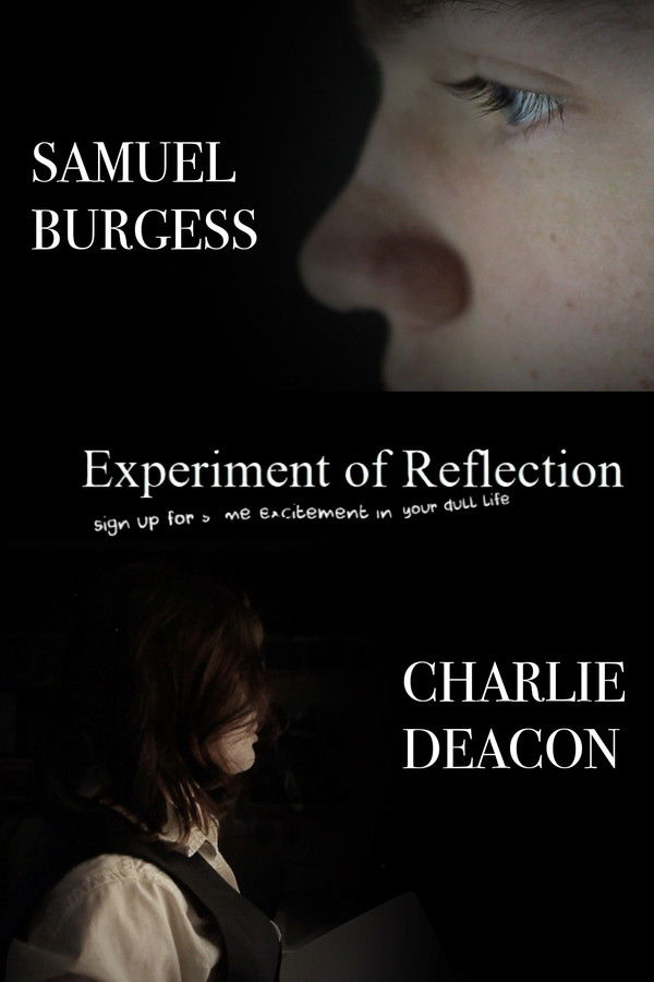 Experiment of Reflection