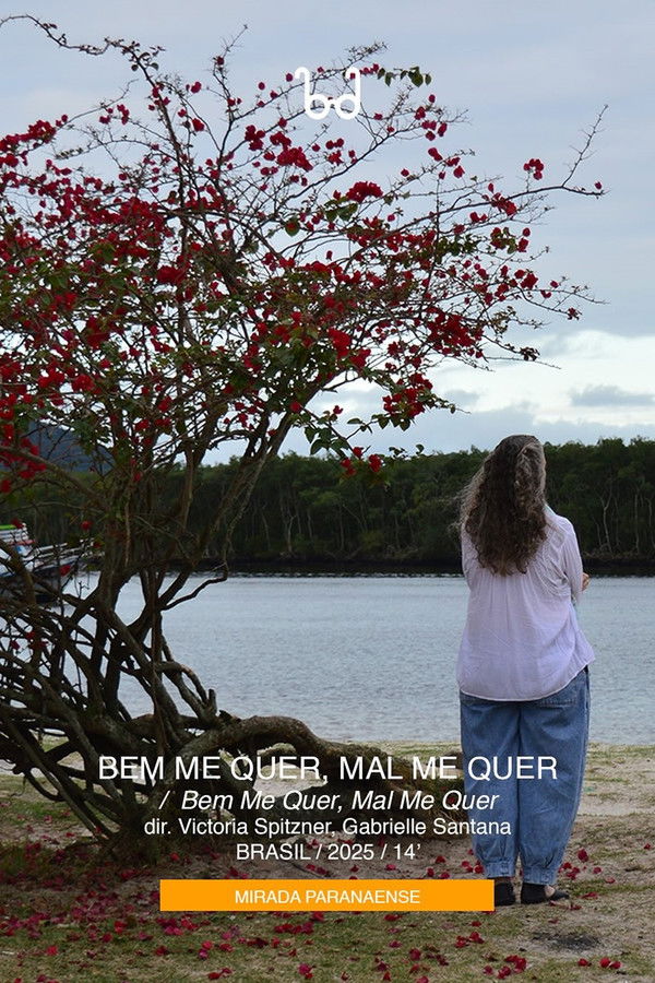 Bem Me Quer, Mal Me Quer