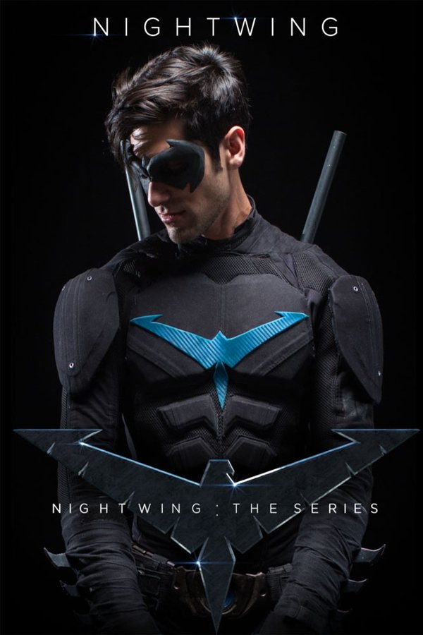 Nightwing: The Series