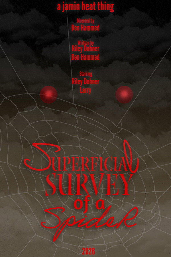 Superficial Survey of a Spider