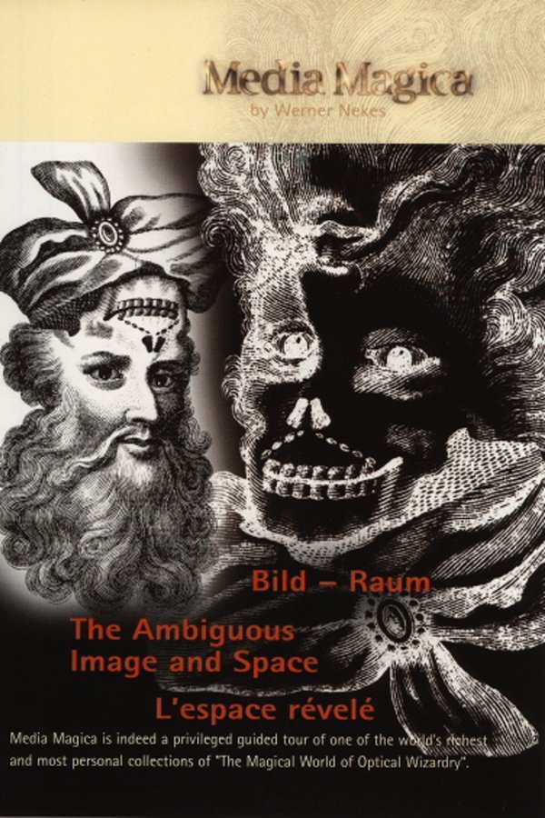 The Ambiguous Image and Space