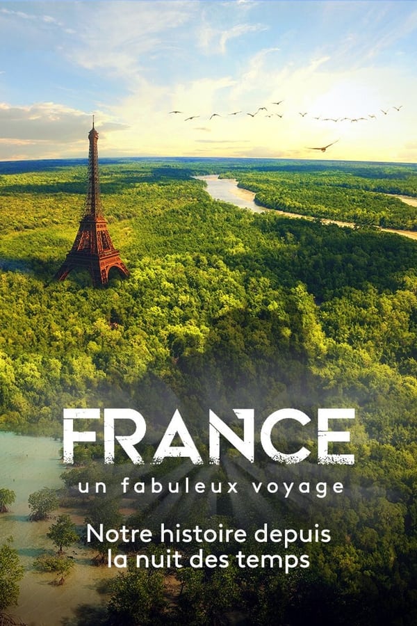 TVplus FR - France, le fabuleux voyage  (2021)