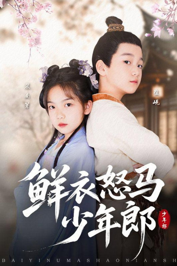 鲜衣怒马少年郎