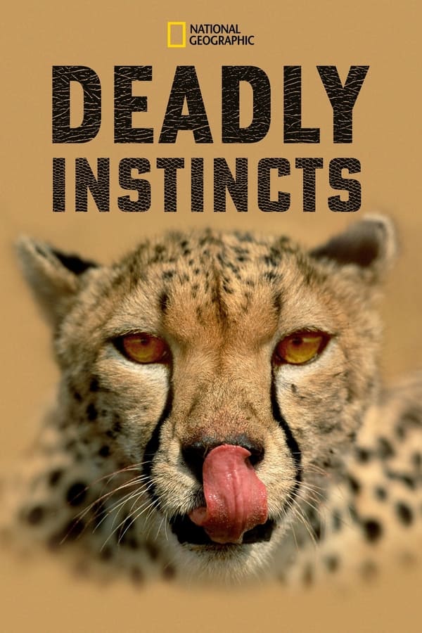 TVplus D+ - Deadly Instincts