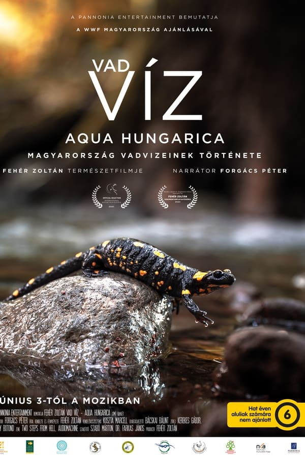 Vad víz – Aqua Hungarica