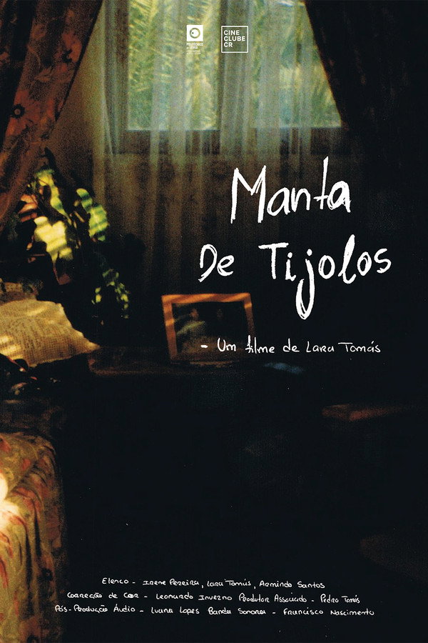 Manta De Tijolos