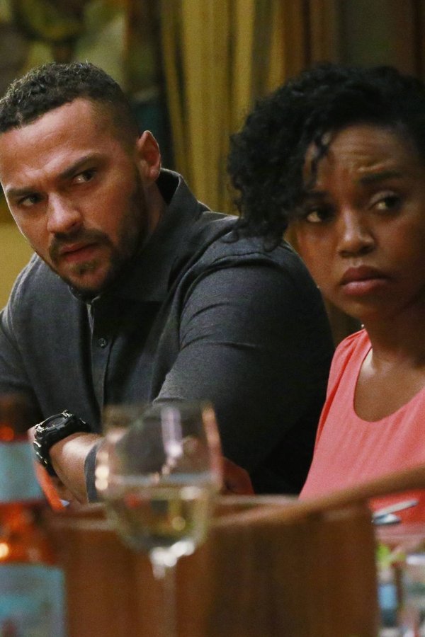 Grey’s Anatomy – S12E05 – Indovina chi viene a cena?