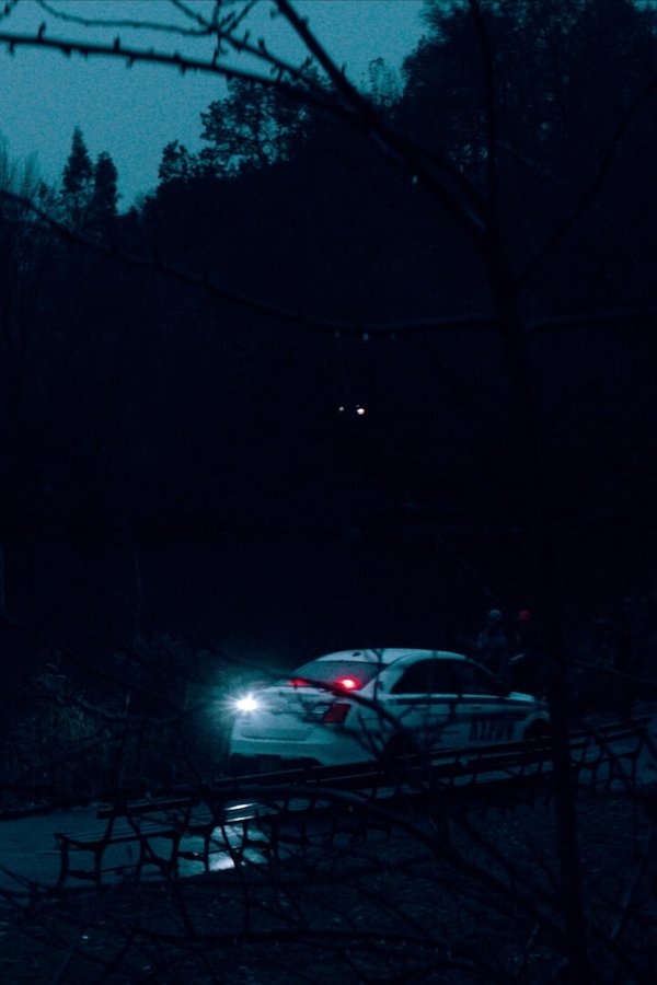 Homicide – S01E05 – Il serial killer nell’East Harlem