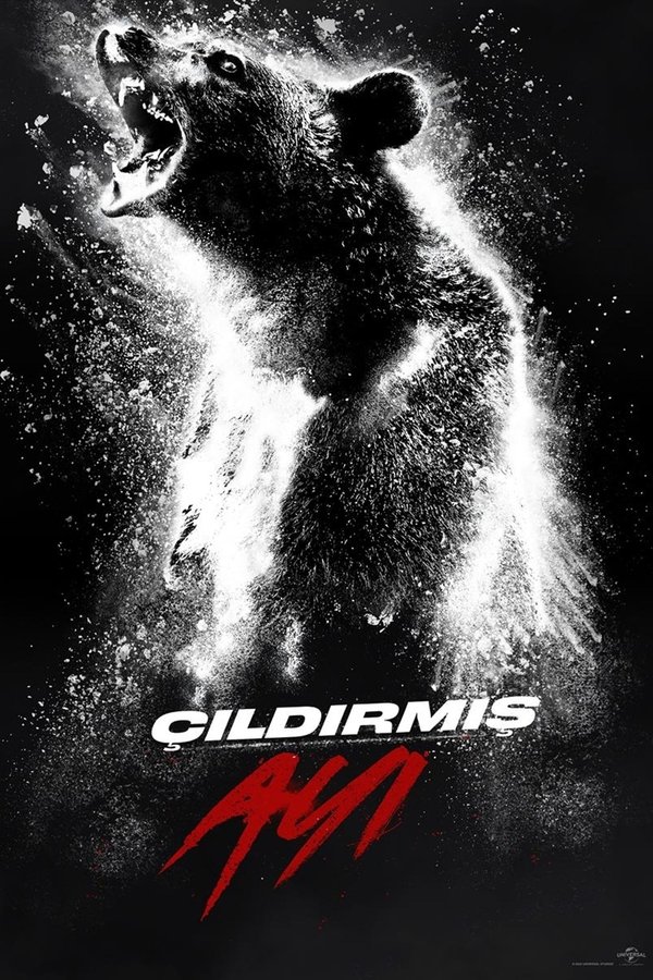  TR - Çıldırmış Ayı - 2023