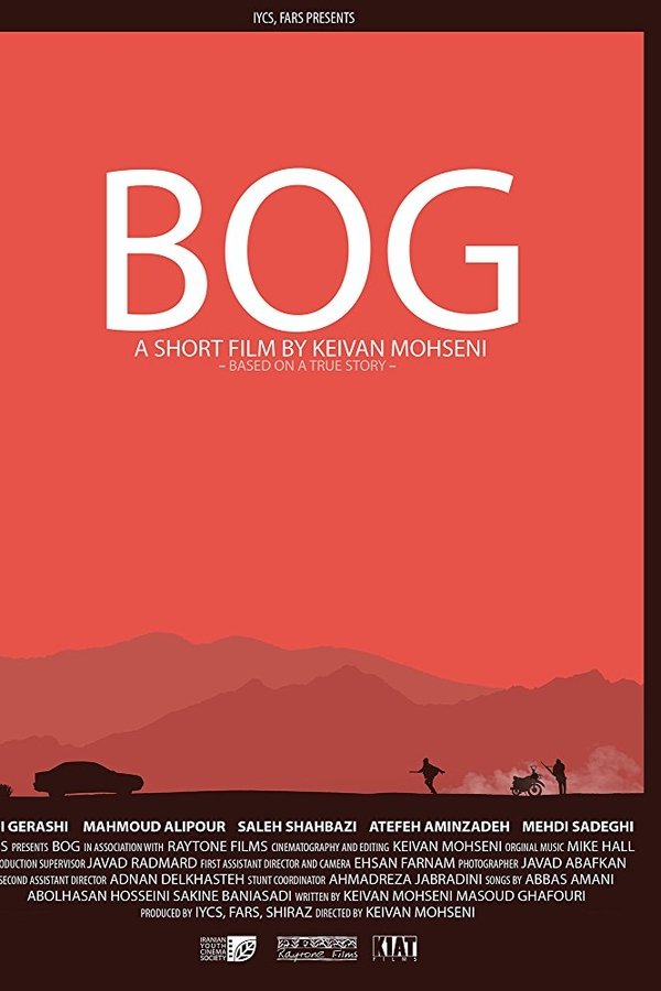 Bog