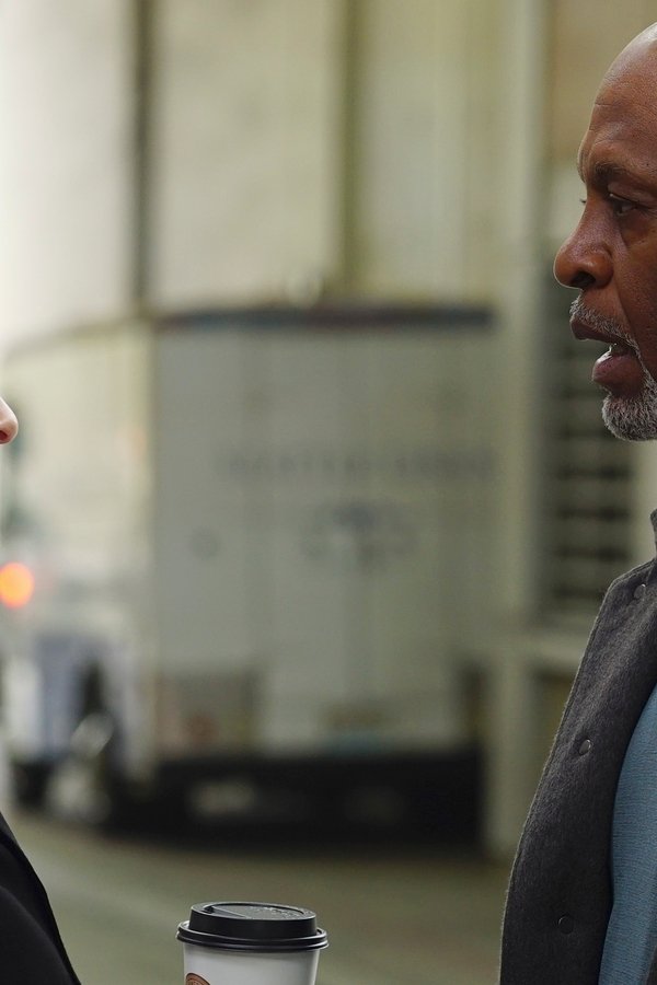 Grey’s Anatomy – S12E21 – Avrai bisogno di qualcuno al tuo fianco