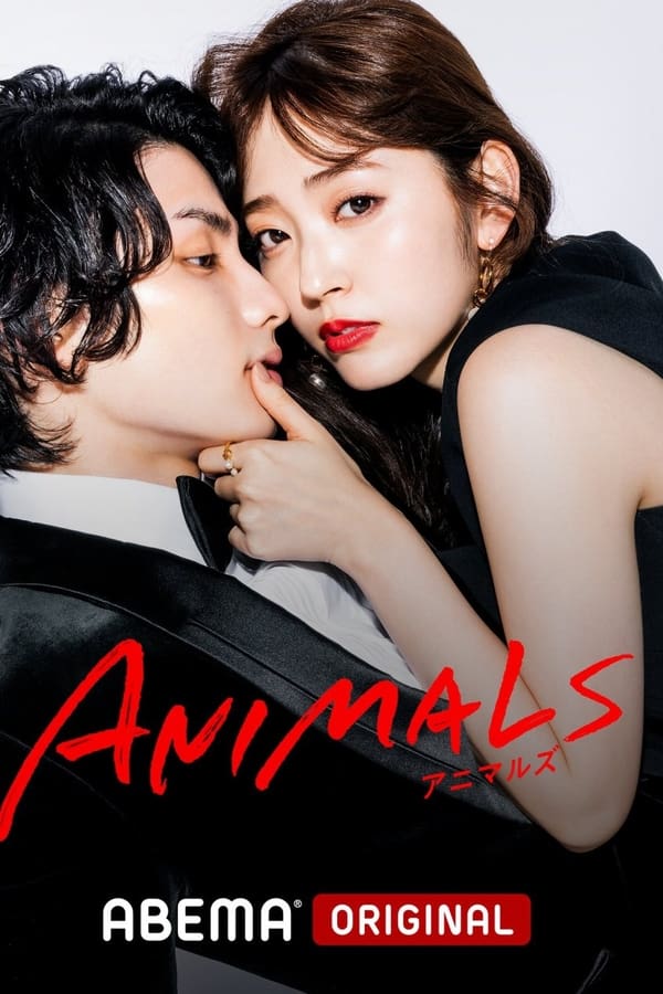 ANIMALS‐アニマルズ‐