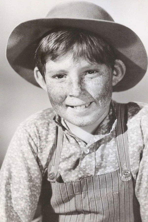 Stephen Wootton's headshot