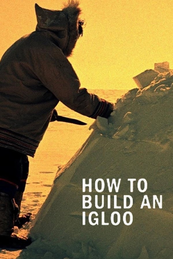 How to Build an Igloo poster