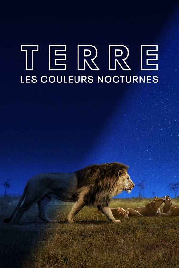 Terre : les couleurs nocturnes