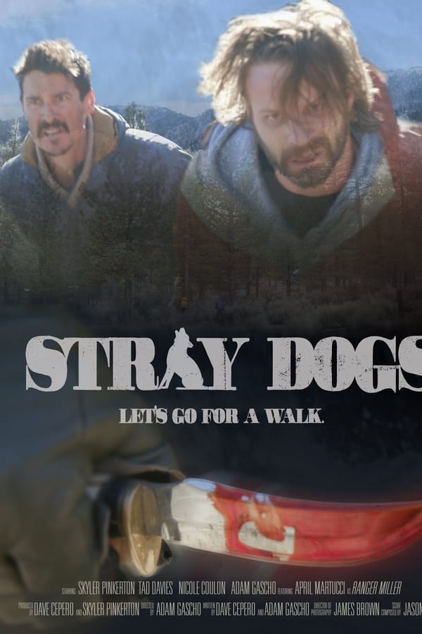 After a man's beloved dog passes, he embarks on a backpacking trip with his brother to bury his dog where he found him. Along the way they encounter a stranger on the run who turns their world upside down. The brothers must unite in order to survive and finish the mission.