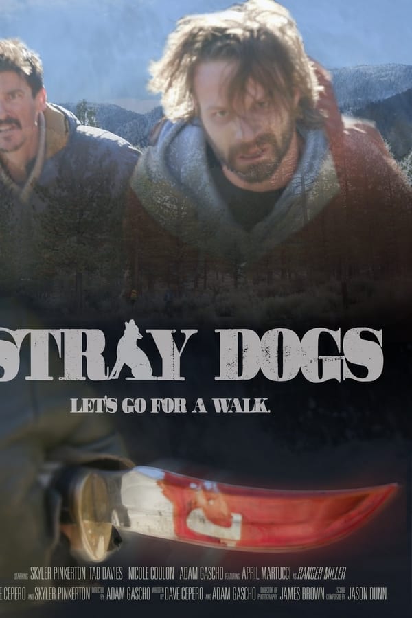 TVplus EN - Stray Dogs  (2020)