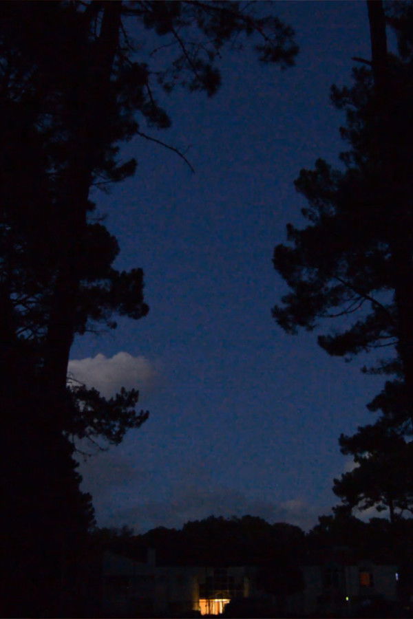 The Garden by the Sea