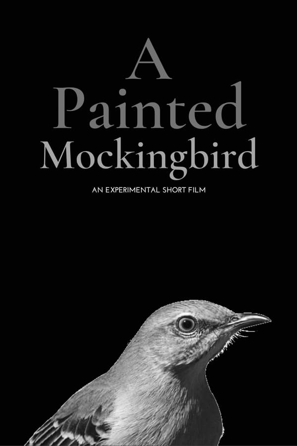 A Painted Mockingbird