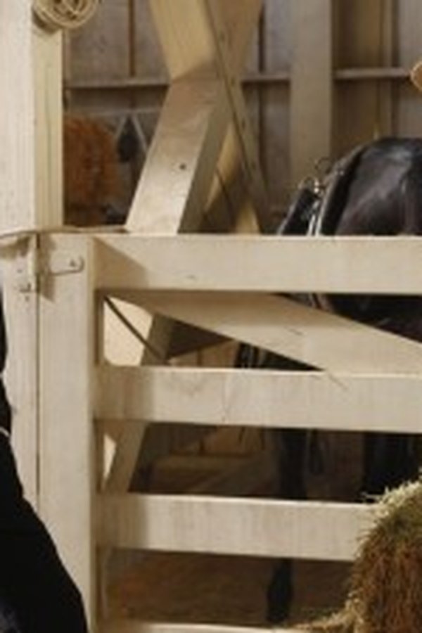 Bones – S05E03 – Sospesa tra due mondi