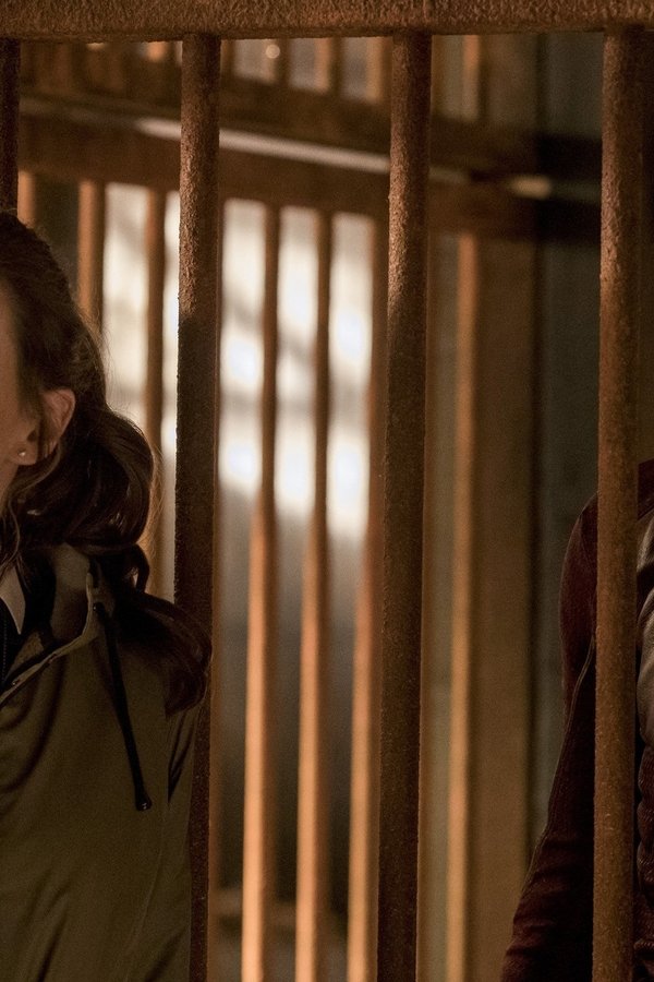 The Flash – S03E13 – Attacco a Gorilla City