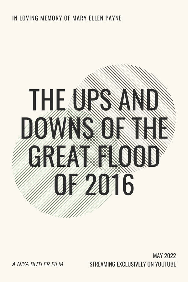 The Ups and Downs of the Great Flood of 2016