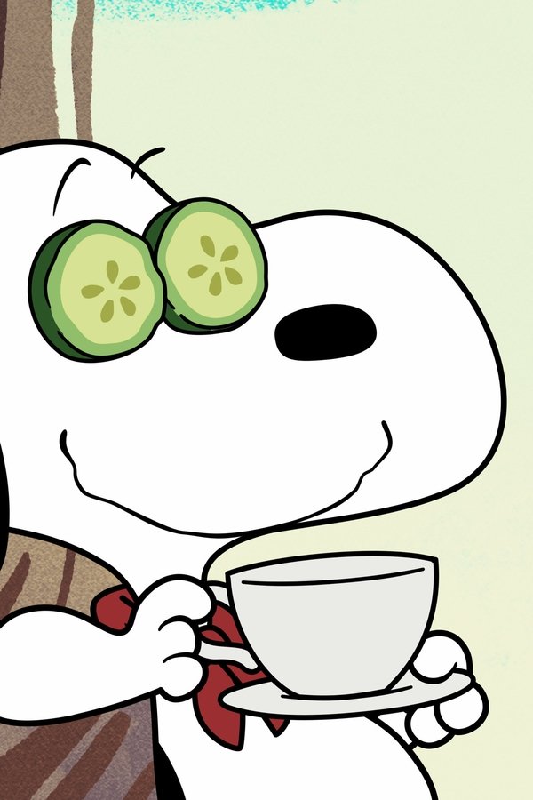 In campeggio con Snoopy – S01E09 – Episodio 9