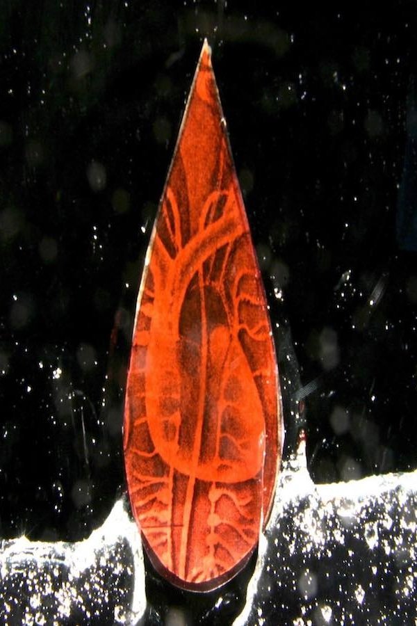 Profile