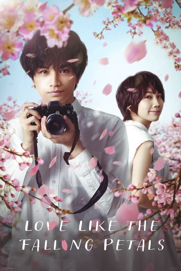 EN - Love Like the Falling Petals  (2022)