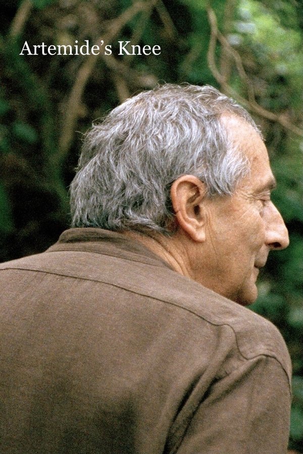 Artemide’s Knee