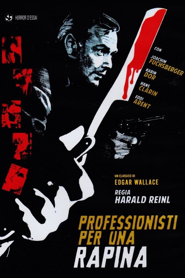 Professionisti per una rapina (1964)
