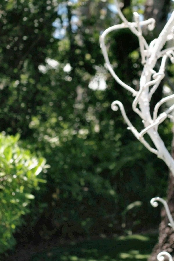 Leopard Skin – S01E03 – Episodio 3