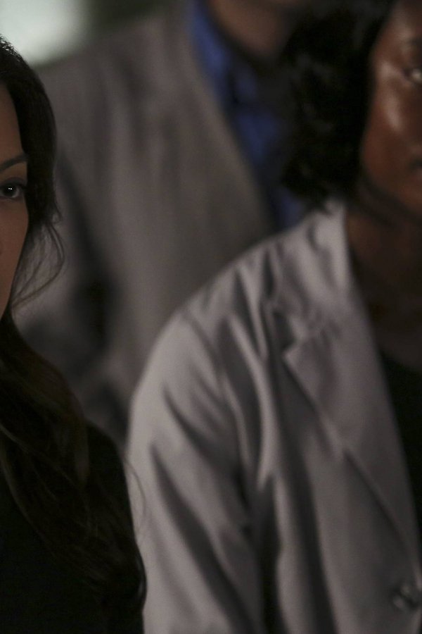 Agents of S.H.I.E.L.D. – S03E08 – Molte teste, una storia