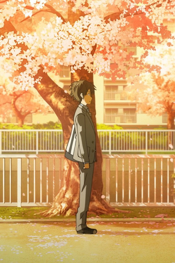 Your lie in April [L]