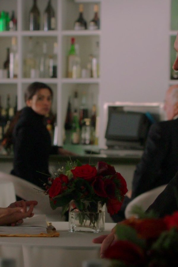 Person of Interest – S03E18 – Il diplomatico