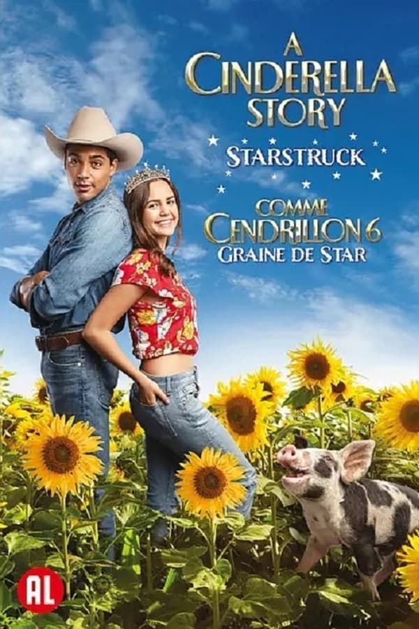 FR - Comme Cendrillon 6 : Graine De Star  (2021)