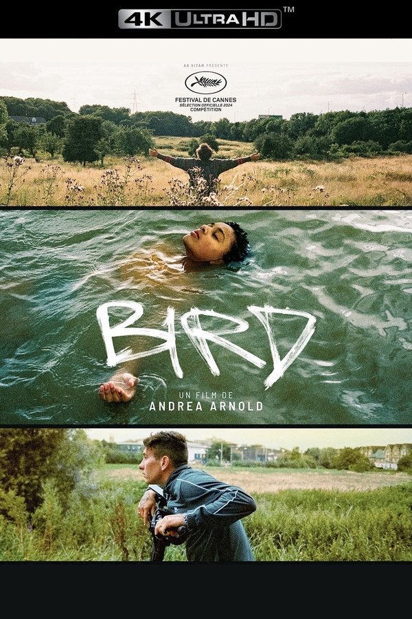 -ES - Bird (2024)