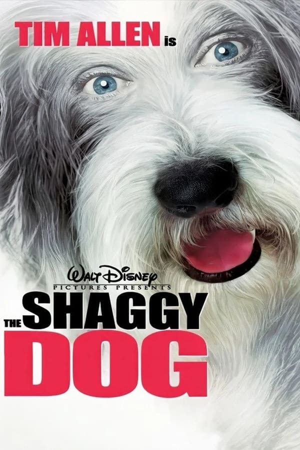 Shaggy Dog – Hör mal, wer da bellt