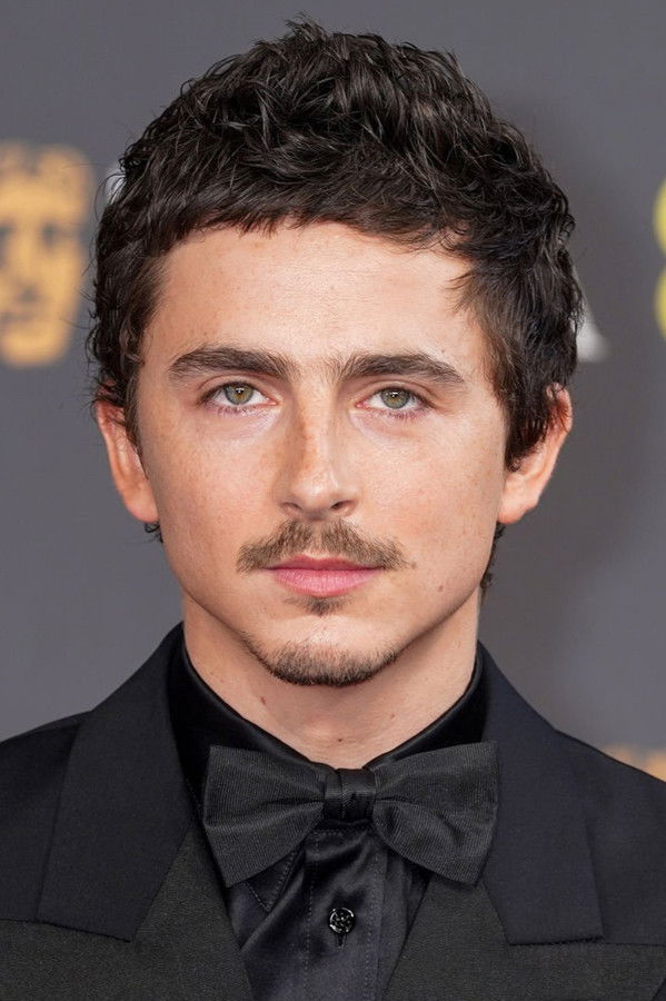 Timothée Chalamet's headshot