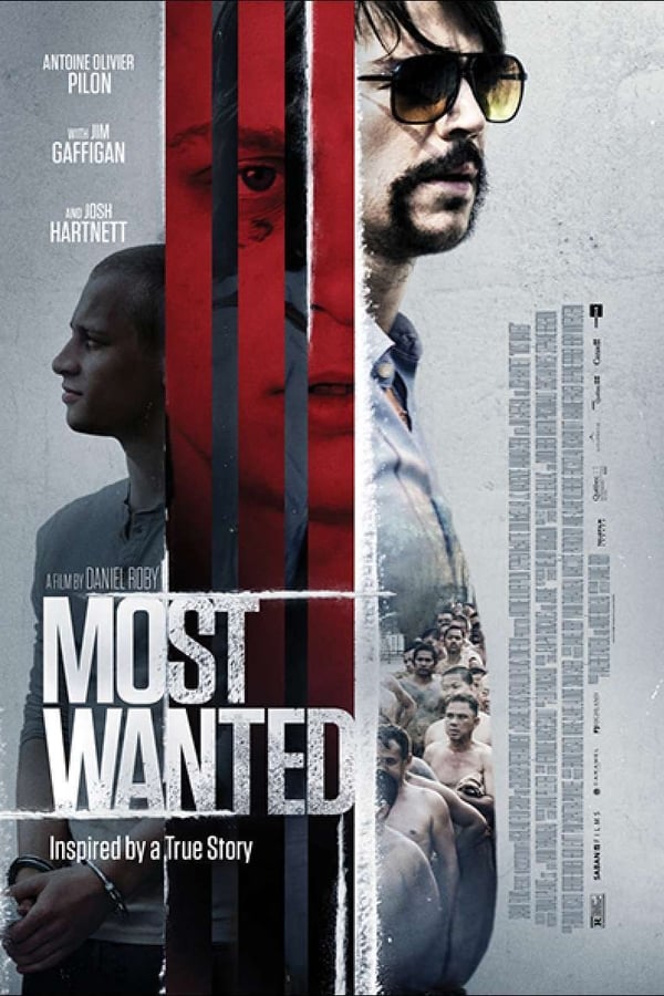 TVplus DE - Most Wanted (2020)