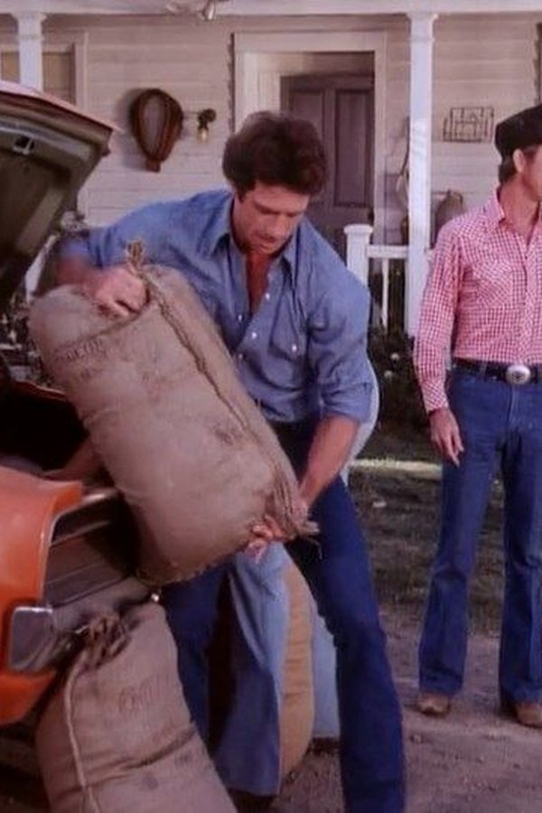 Hazzard – S02E03 – Ladri di bestiame