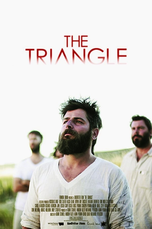 The Triangle (2016)